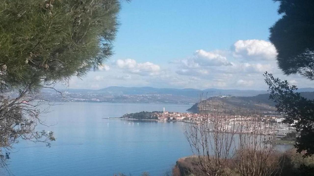 Sea View Terrace Apartment Izola Dış mekan fotoğraf